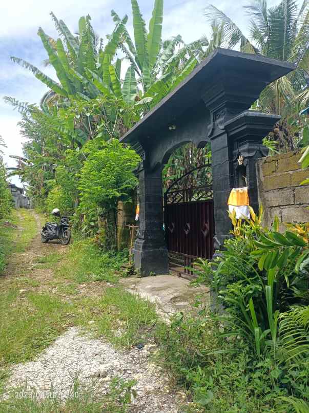 dijual tanah kerambitan tabanan bali