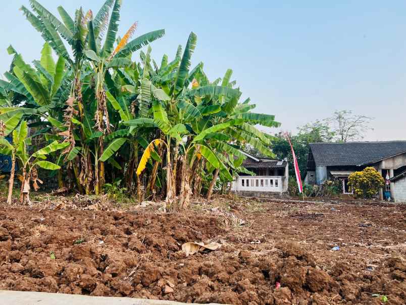 dijual tanah kerjo karanganyar