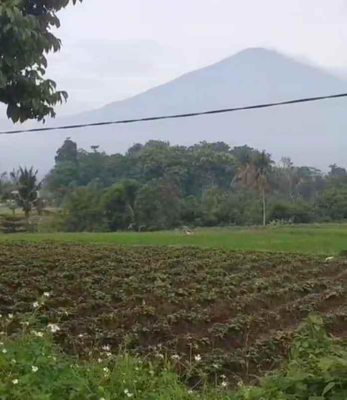 dijual tanah komersil pinggir jalan baru kuningan