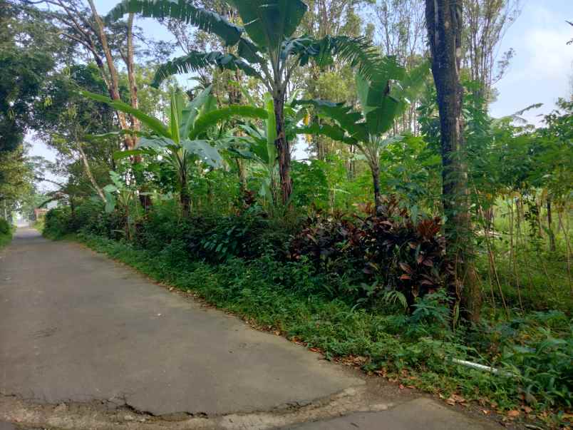 dijual tanah linggarjati kab kuningan