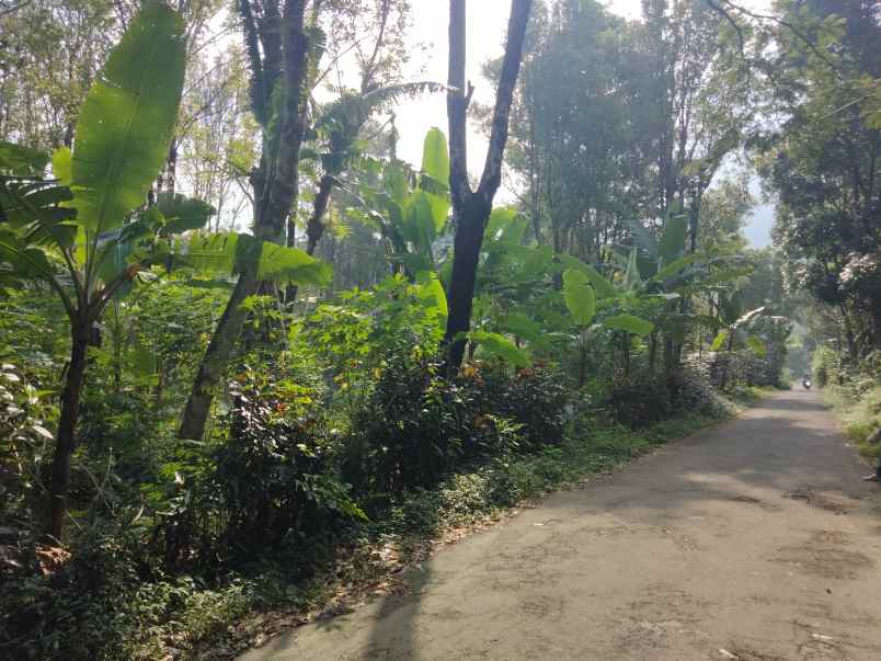 dijual tanah linggarjati kab kuningan