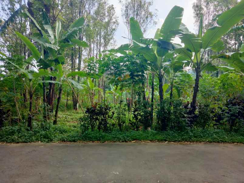 dijual tanah linggarjati kab kuningan