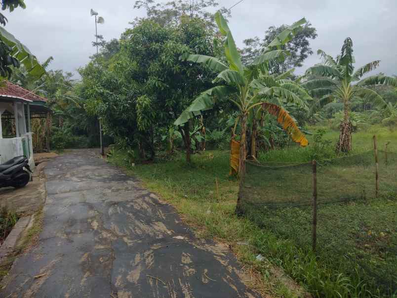 dijual tanah lingkungan pemukiman rumah penduduk