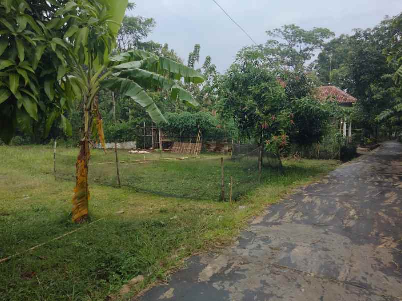 dijual tanah lingkungan pemukiman rumah penduduk