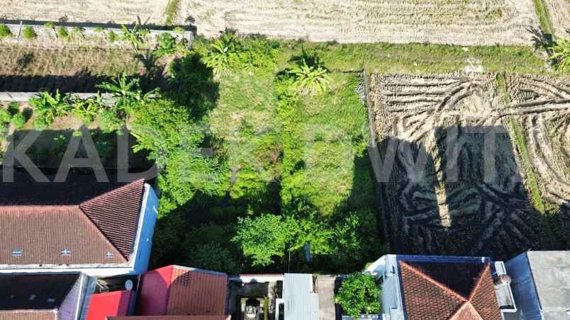 dijual tanah murah 244 m2 tukad badung renon denpasar