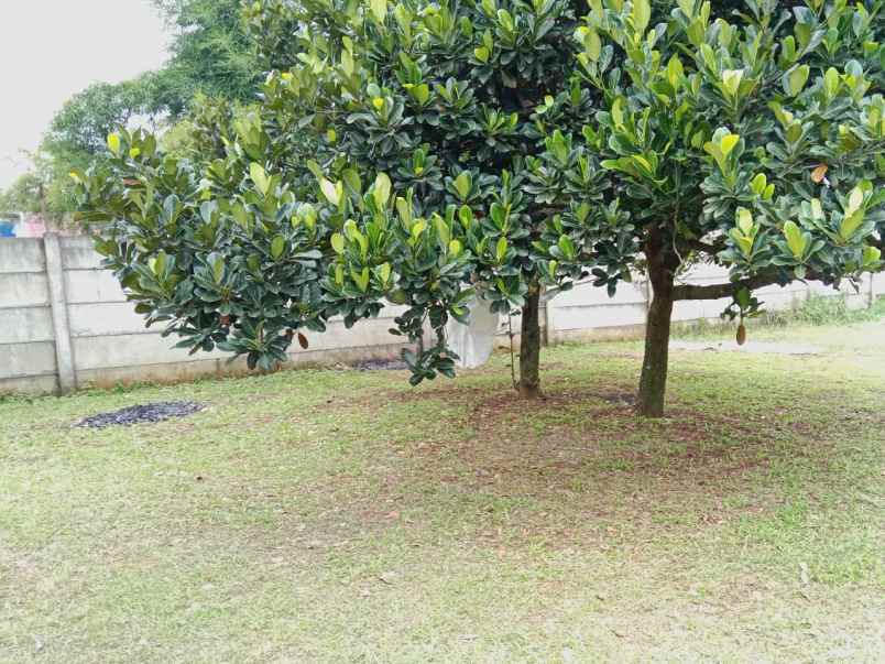 dijual tanah murah shm langsung pemilik