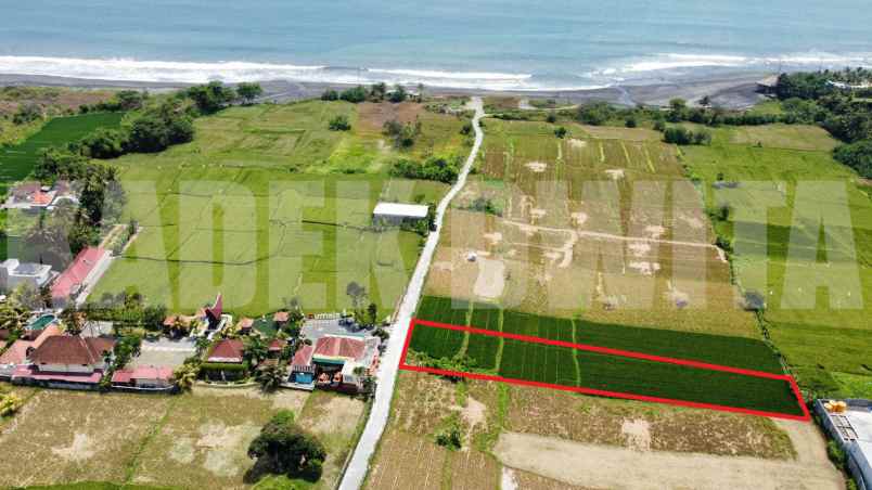 dijual tanah murah view sawah dan laut pantai keramas