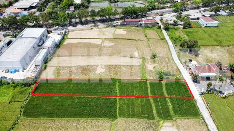 dijual tanah murah view sawah dan laut pantai keramas