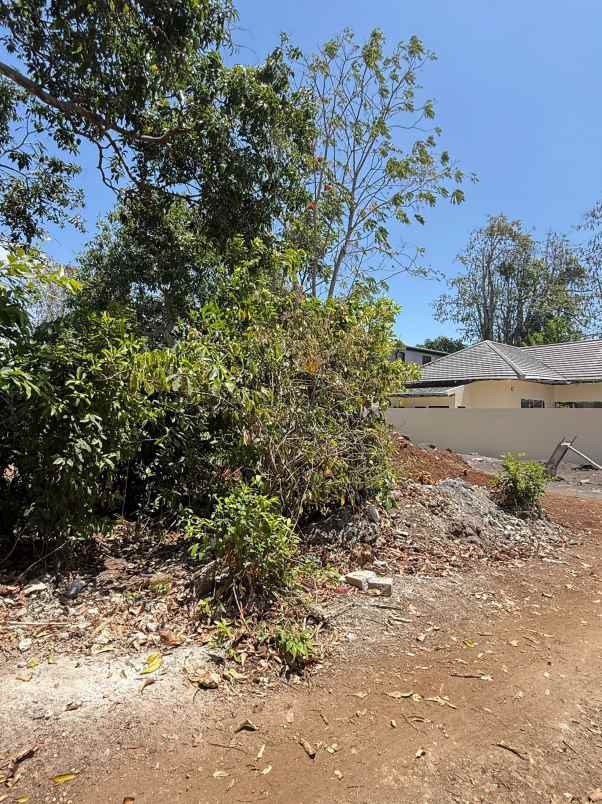 dijual tanah pantai balangan
