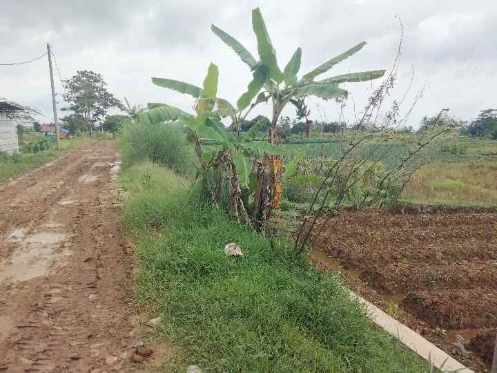 dijual tanah pinggir jalan di perbatasan beber cilimus