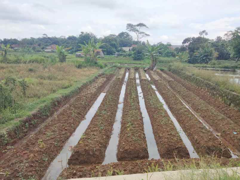 dijual tanah pinggir jalan di perbatasan beber cilimus