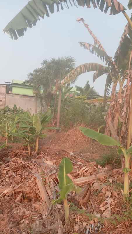 dijual tanah rawakalong