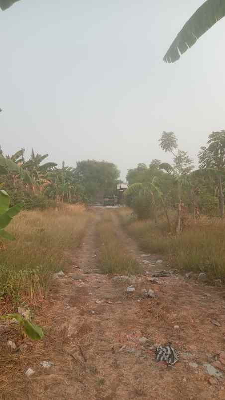 dijual tanah rawakalong
