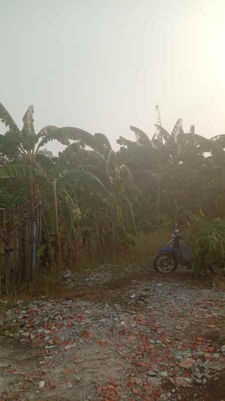 dijual tanah rawakalong