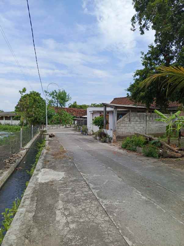 dijual tanah sewon