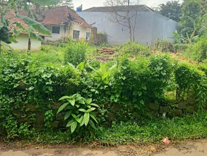 dijual tanah strategis pinggir jalan desa