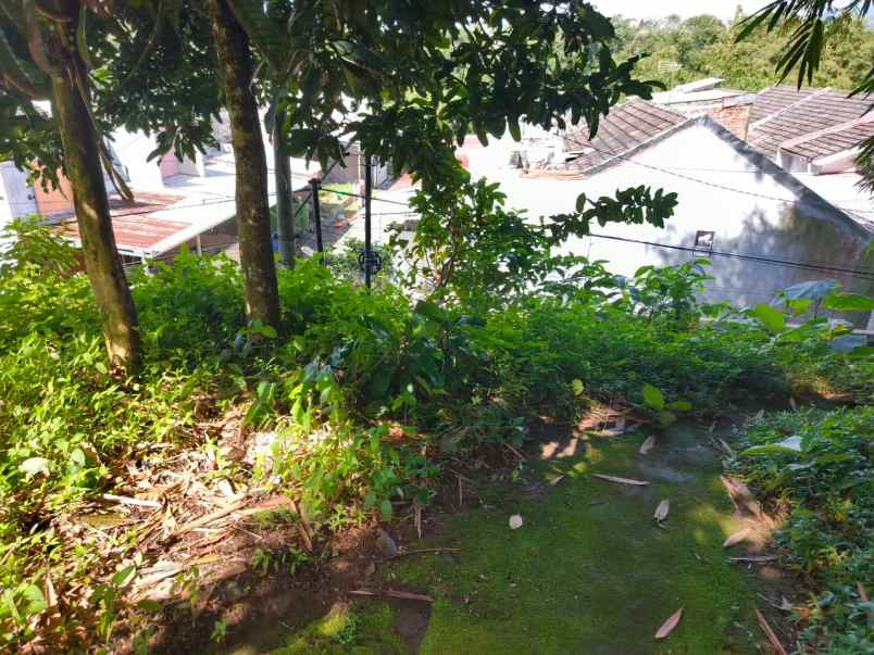 dijual tanah strategis shm di karanggintung purwokerto