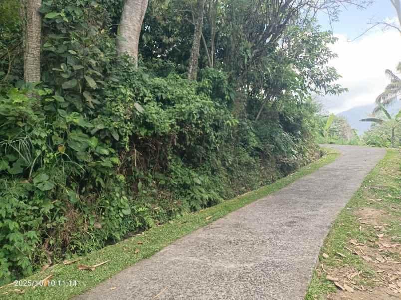 dijual tanah ungasan badung bali