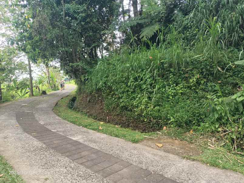 dijual tanah ungasan badung bali