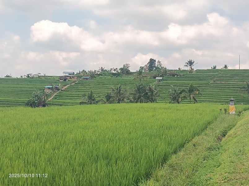 dijual tanah ungasan badung bali