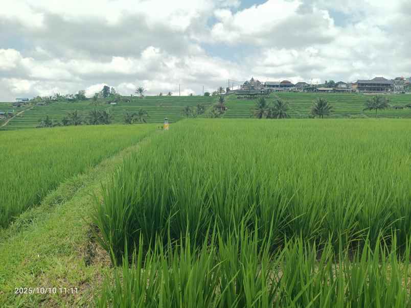 dijual tanah ungasan badung bali