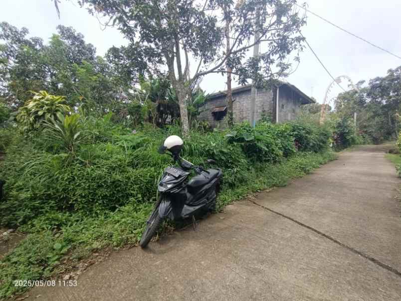 dijual tanah wanagiri buleleng bali