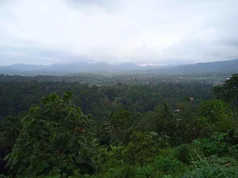 dijual villa kedaung