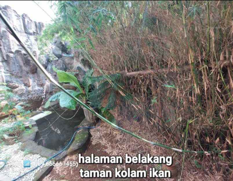 disewakan rumah puri dewata taman royal