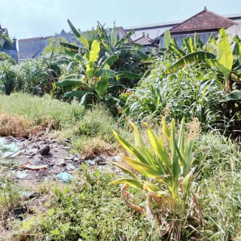 disewakan tanah buluh indah