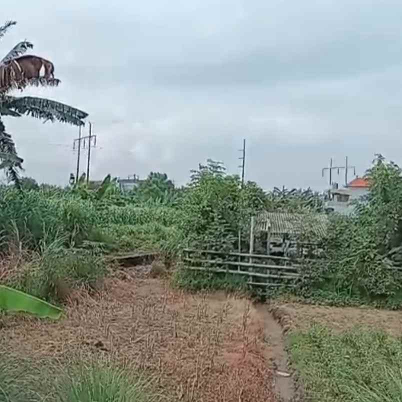 disewakan tanah buluh indah