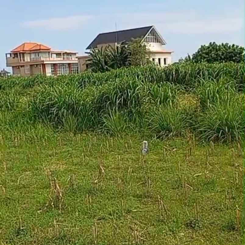 disewakan tanah buluh indah