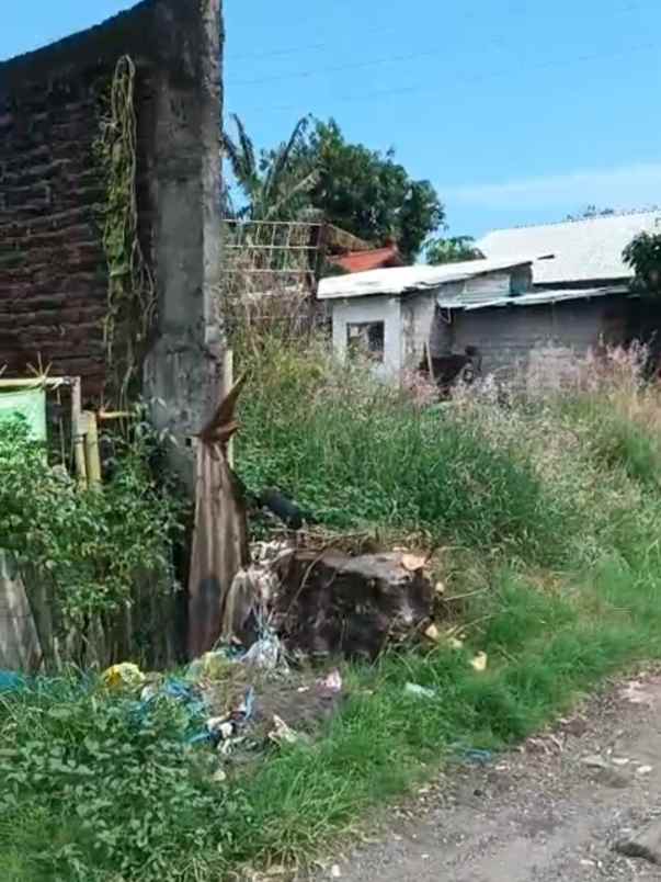 disewakan tanah buluh indah