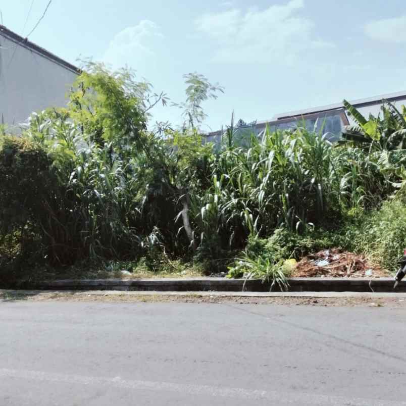 disewakan tanah buluh indah