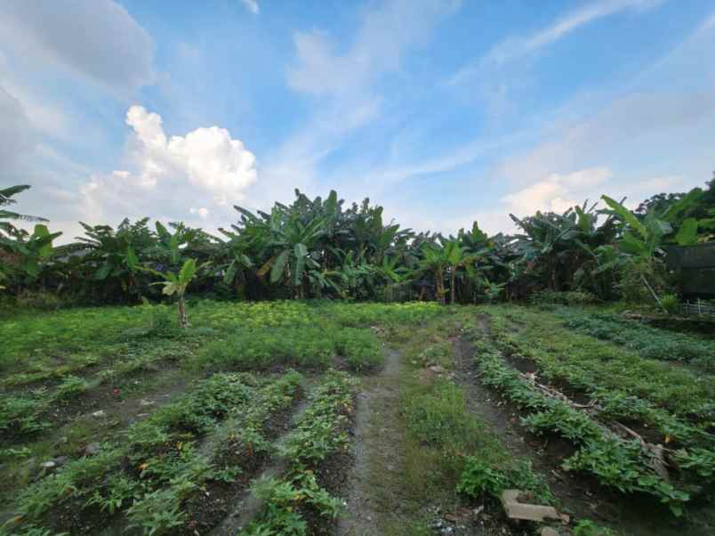 disewakan tanah jalan buaran raya serpong