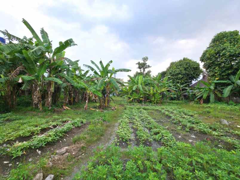 disewakan tanah jalan buaran raya serpong