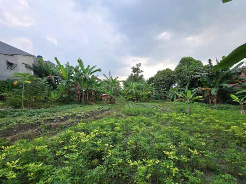 disewakan tanah jalan buaran raya serpong