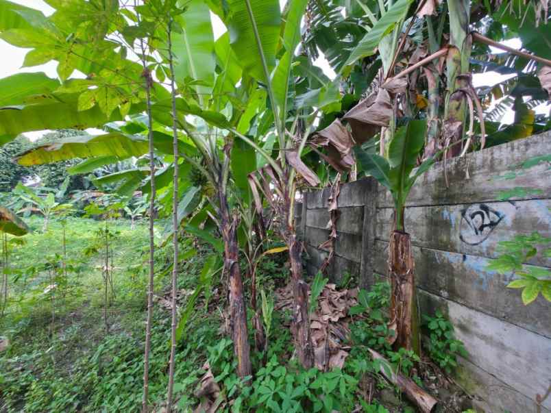 disewakan tanah jalan buaran raya serpong