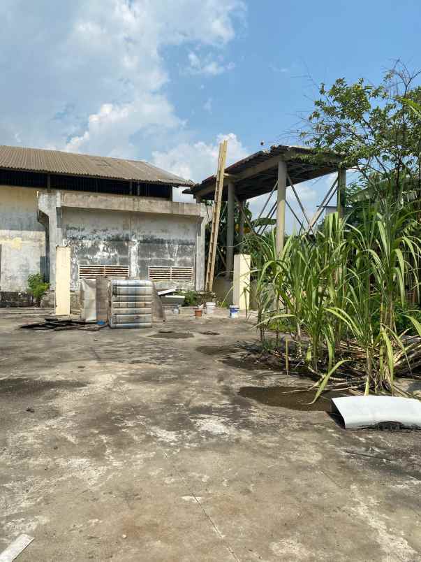 disewakan tanah kapuk