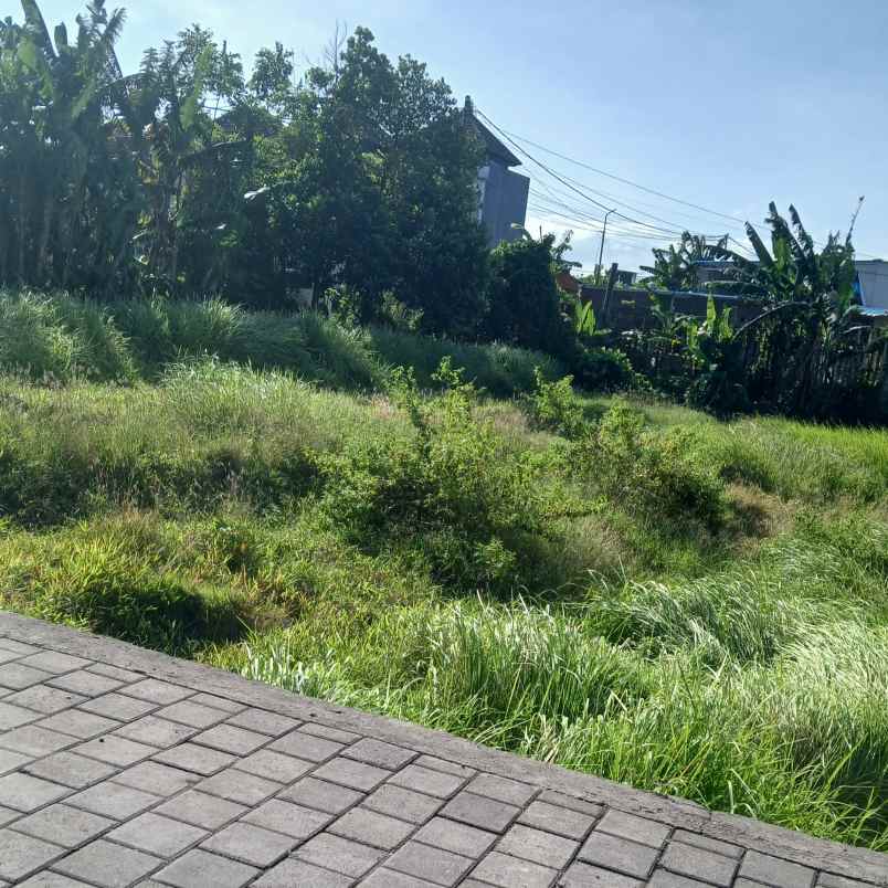 disewakan tanah kedungdung sari cargo
