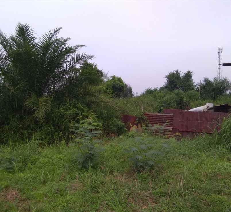 jual tanah kavling di sako baru kenten palembang