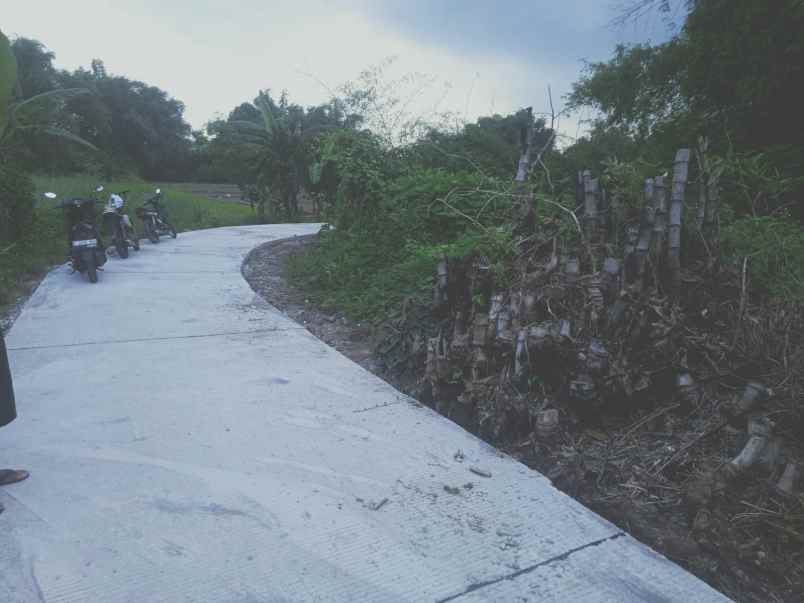 jual tanah murah mojokerto jawa timur