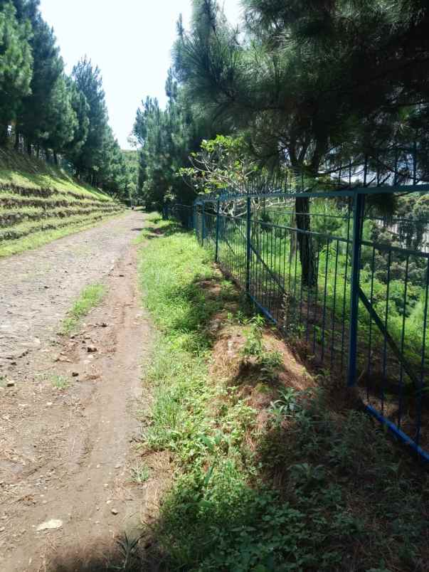 jual villa vieu cantik