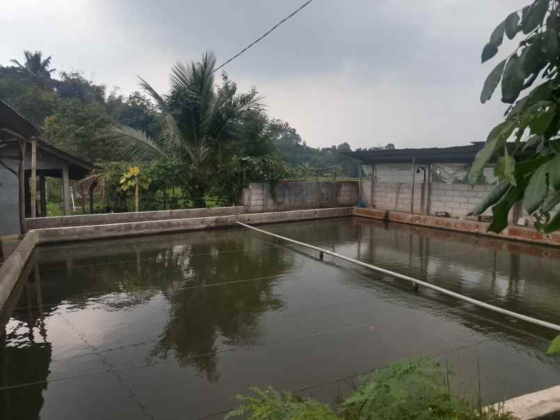 kolam pemancingan kebun produktif ciater subang
