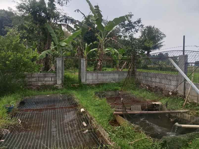 kolam pemancingan kebun produktif ciater subang