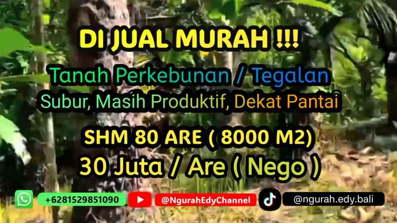 lahan kebun shm 80 are dekat pantai di tabanan bali