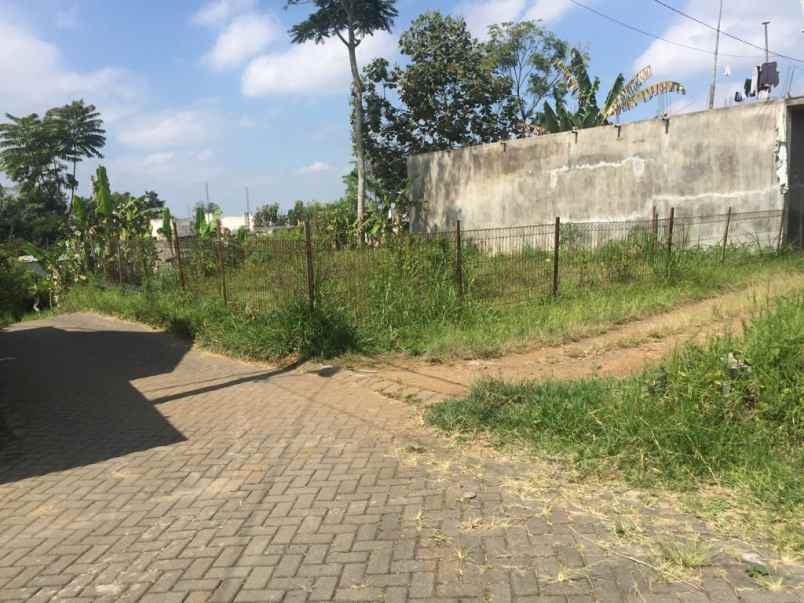 lahan pekarangan cocok buat villa