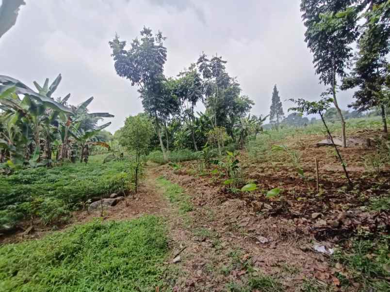 murah tanah ciapus bogor best view