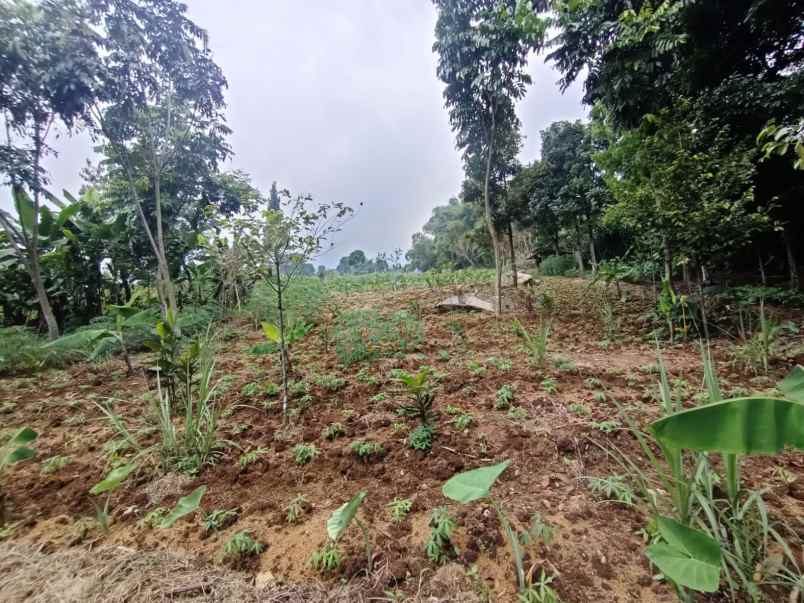 murah tanah ciapus bogor best view