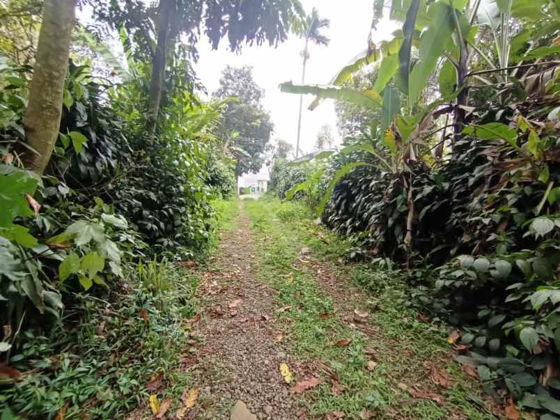 murah tanah ciapus bogor best view