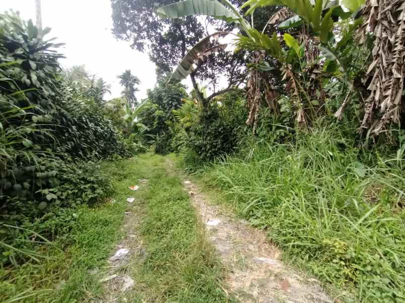 murah tanah ciapus bogor best view